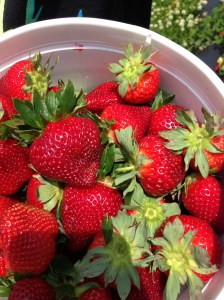 Last day of school 2013-2